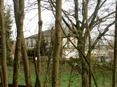 20160402Halberger_Huette5