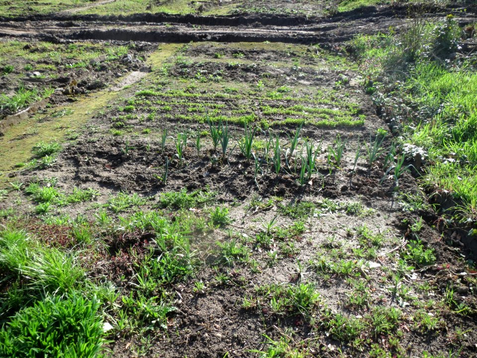 20160406Kraichbach_Hockenheim1
