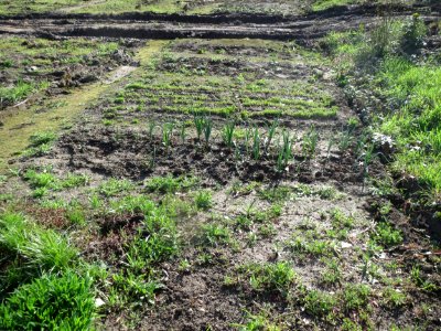 20160406Kraichbach_Hockenheim1