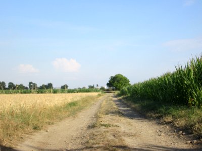 20180703Hockenheimer_Rheinbogen2