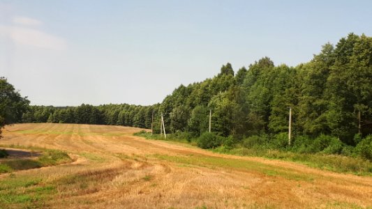 20180810_141007_Hrodna_Region