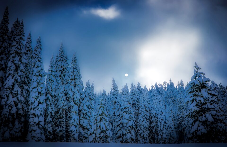 Winter sunset dusk