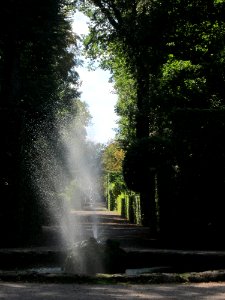 20180826Urnenallee_Schwetzingen2