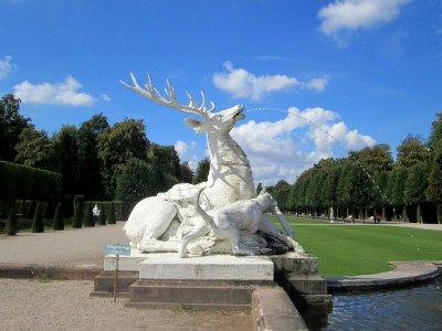20180826Hirschgruppe_Schwetzingen1