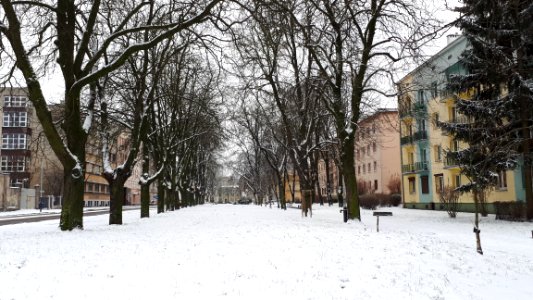 20181216_100407_aleje_anstadta_lodz_december_2018