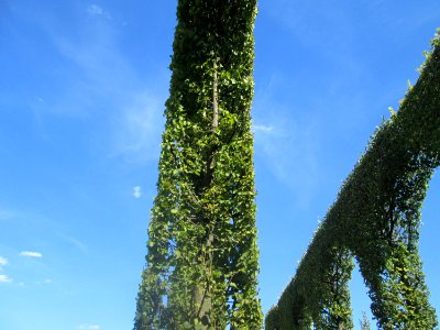 20180826Südliche_Lindenarkaden2