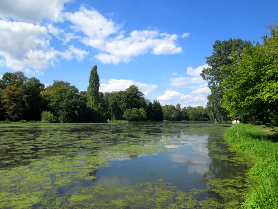 20180826Großer_Weiher
