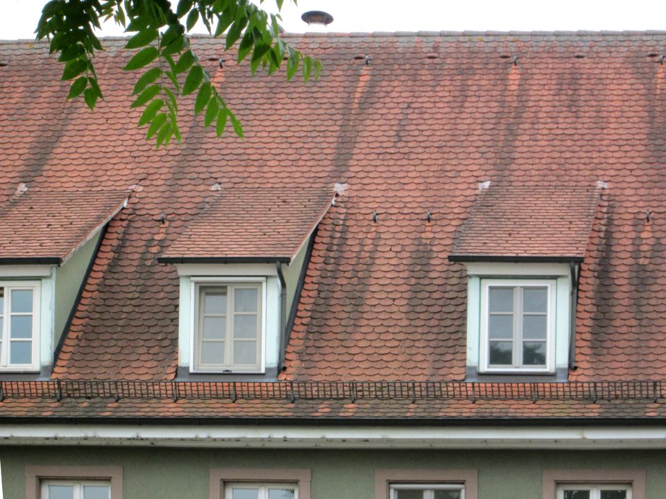 20180523Hauptstraße_43_Reilingen4