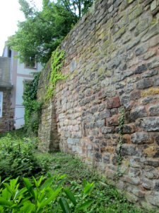 20180511Stadtmauer_Alt-Saarbrücken9