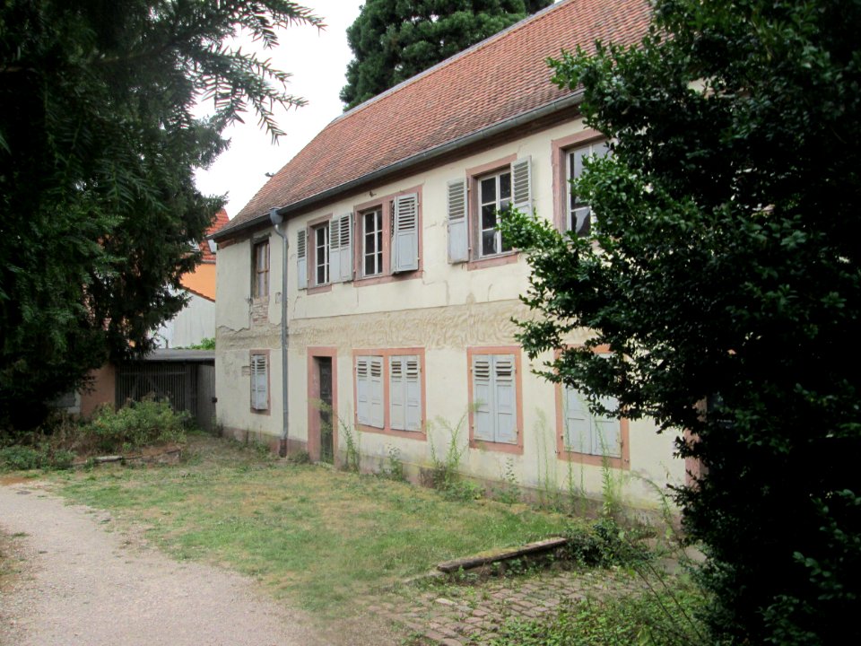 20180902Schlossgarten_Schwetzingen1
