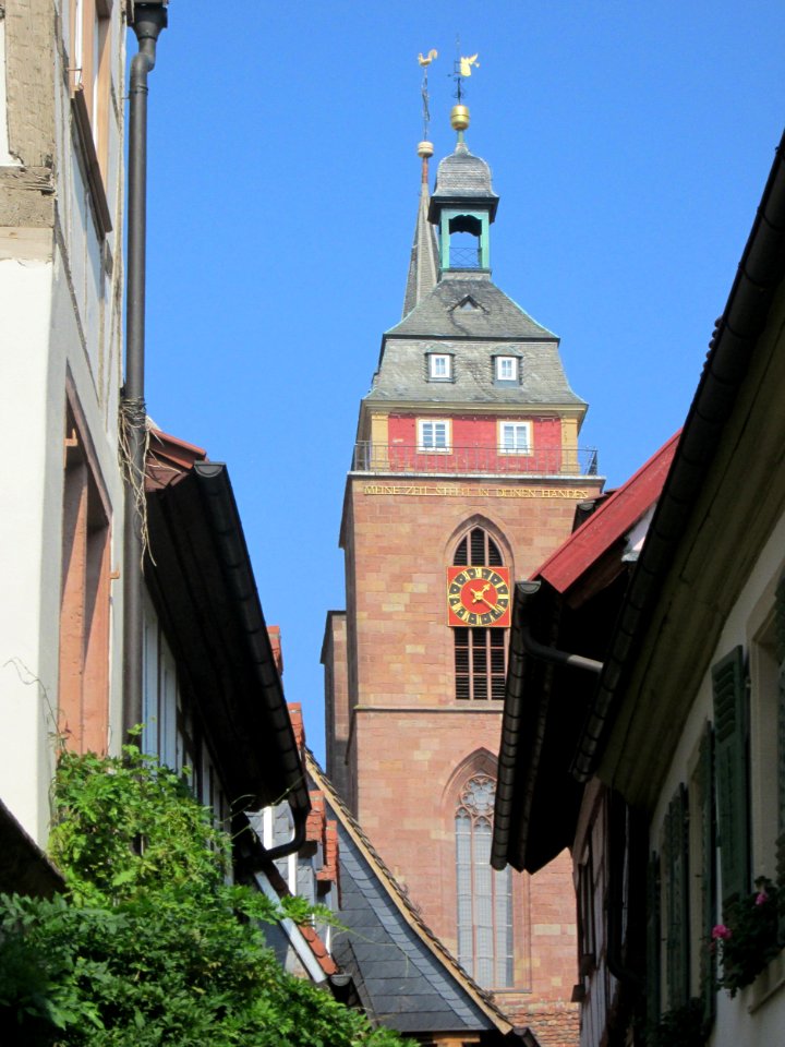 20180905Metzgergasse_Neustadt