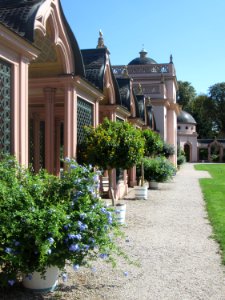 20180826Moschee_Schwetzingen09