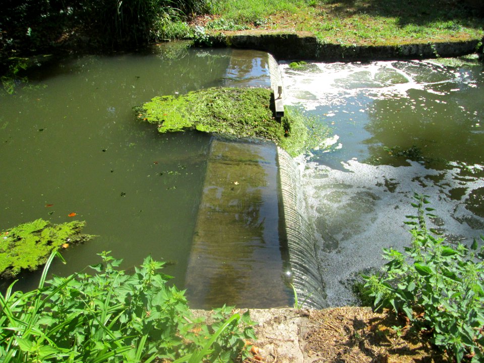20180826Schlossgarten_Schwetzingen3