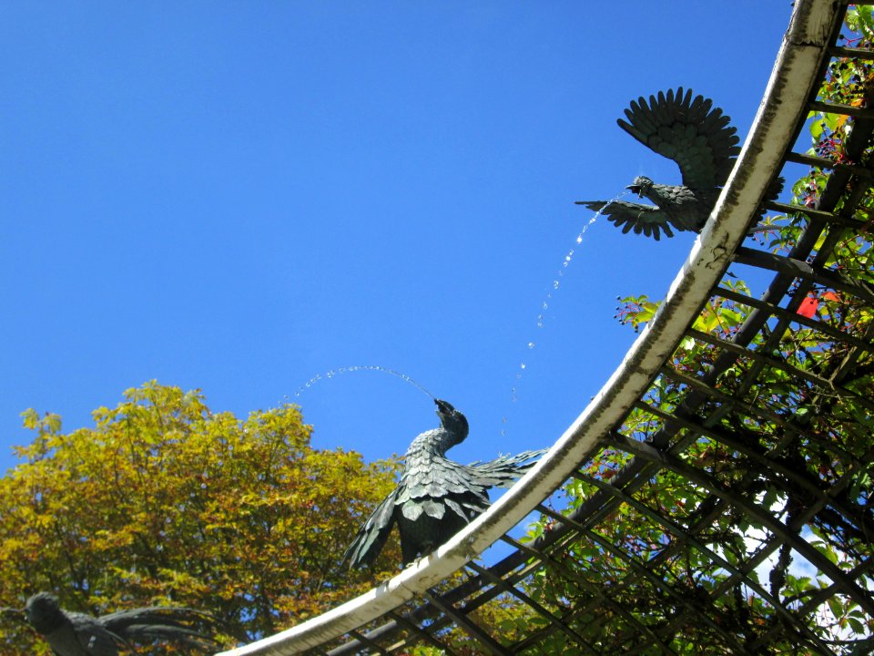 20180826Wasserspeiende_Vögel_Schwetzingen7