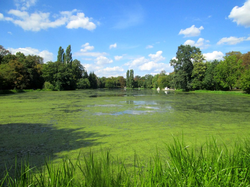 20180826Großer_Weiher1