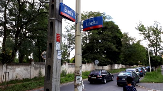 20180817_Łódź_Jewish_Cemetery_august_2018