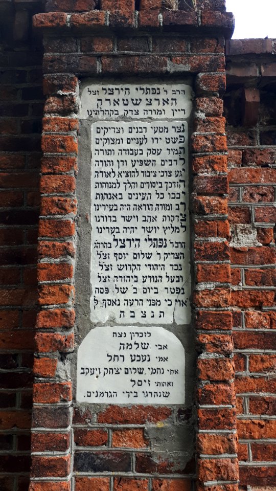 20180817_153911_Łódź_Jewish_Cemetery
