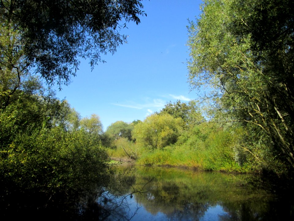 20180911Oberer_Tabaksweiher