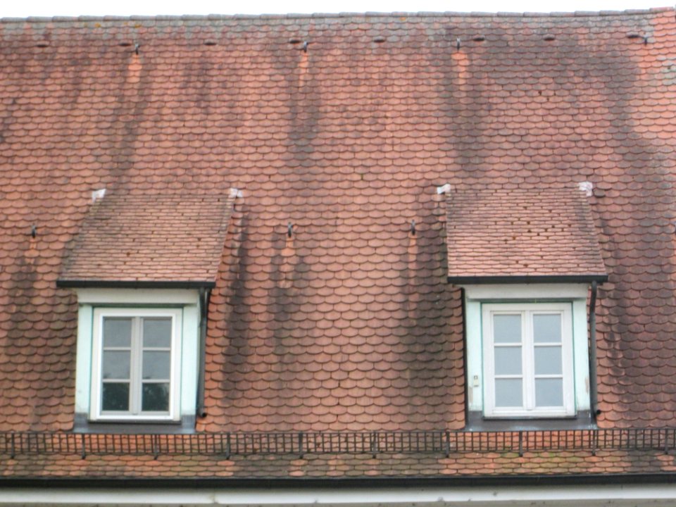 20180523Hauptstraße_43_Reilingen5