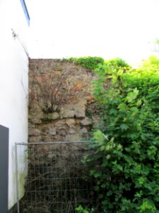 20180511Wilhelm-Heinrich-Straße6
