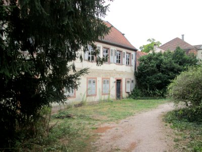 20180902Schlossgarten_Schwetzingen2