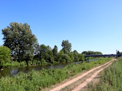 2019_Warszawa_ścieżka_nad_Kanałem_Żerańskim,_1