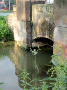 20180904Zähringer_Kanal_Schwetzingen1