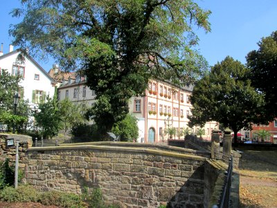20180905Neustadt_an_der_Weinstraße1
