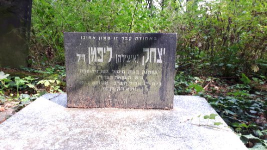 20180817_145222_Łódź_Jewish_Cemetery