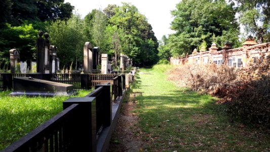 20180817_152959_Łódź_Jewish_Cemetery