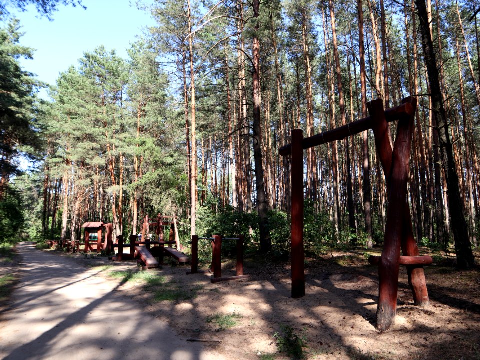 2019_Warszawa_Park_Olesin,_2
