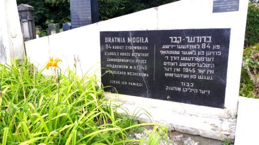 20180817_154044_Łódź_Jewish_Cemetery