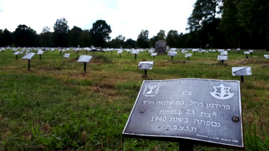 20180817_143232_Łódź_Jewish_Cemetery