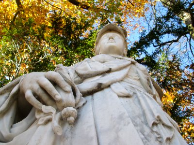 20181111Minerva3