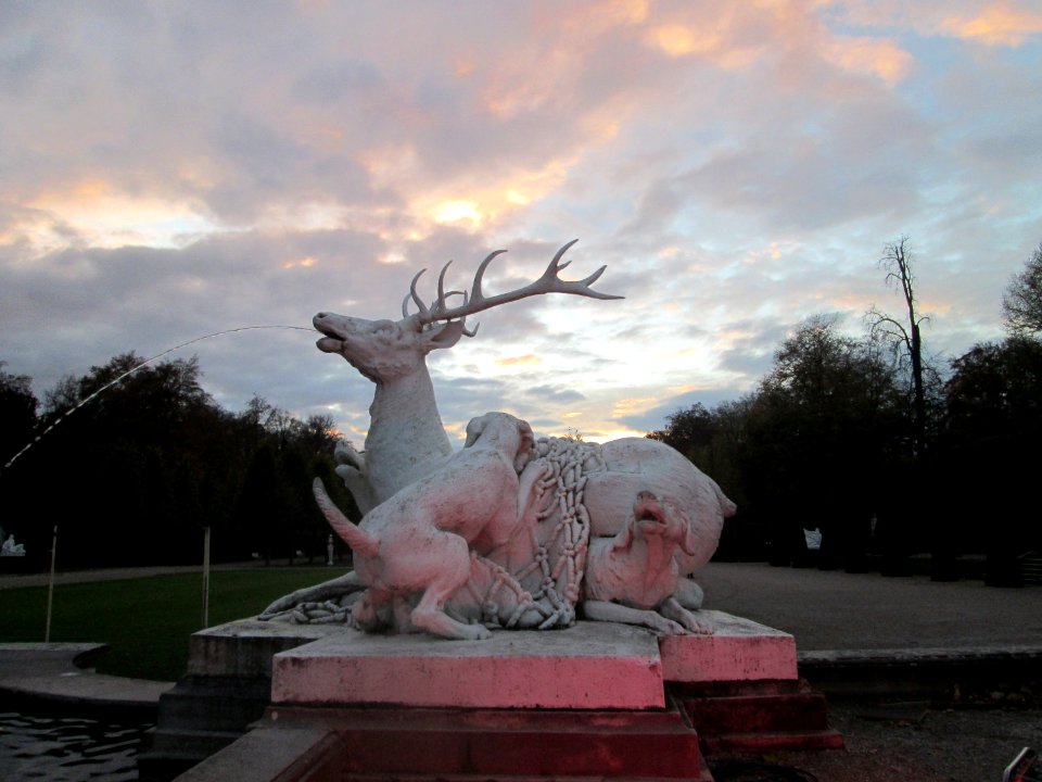 20181102Hirschgruppe_Schwetzingen