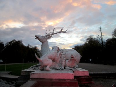 20181102Hirschgruppe_Schwetzingen