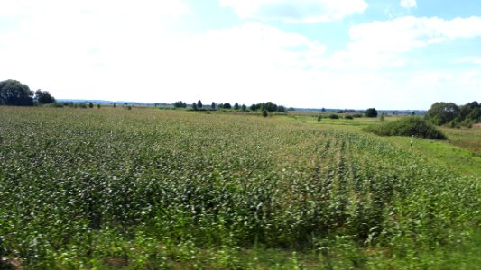 20180813_grodno_region_belarus_august_2018