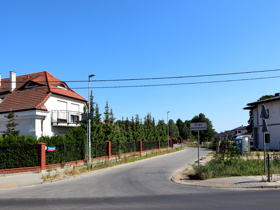 2019_Warszawa_Złotokwiatu