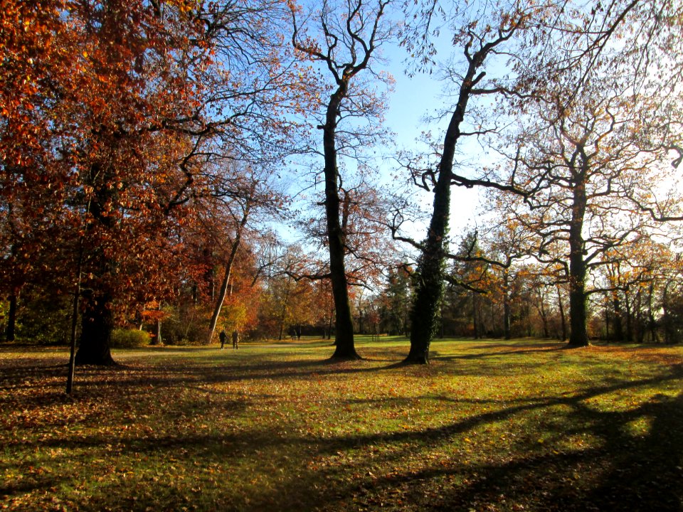 20181111Schlossgarten_Schwetzingen1