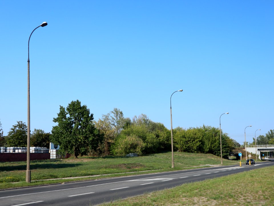 2019_Warszawa_Płochocińska_stare_latarnie,_2