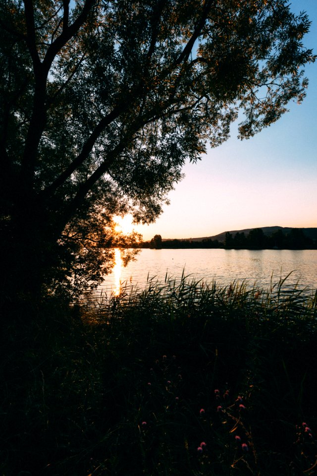 2019-07-05_Werratalsee_IMG_1448_edit_Christoph_Braun