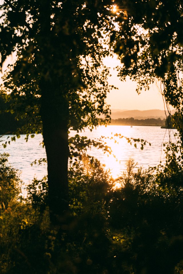 2019-07-05_Werratalsee_IMG_1370_edit_Christoph_Braun