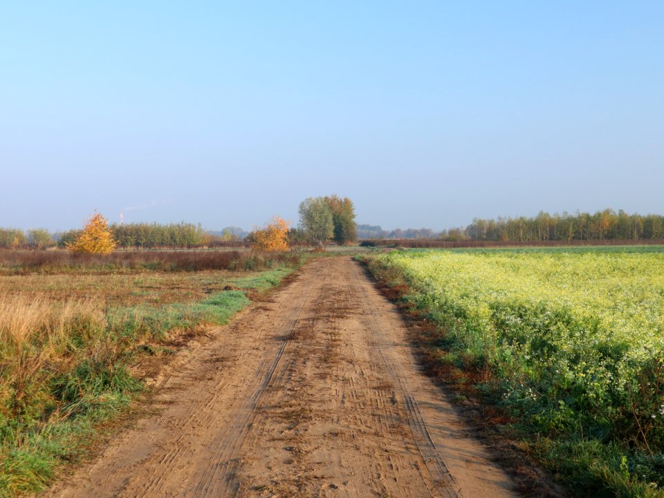 2019_Warszawa_Wiedeńska