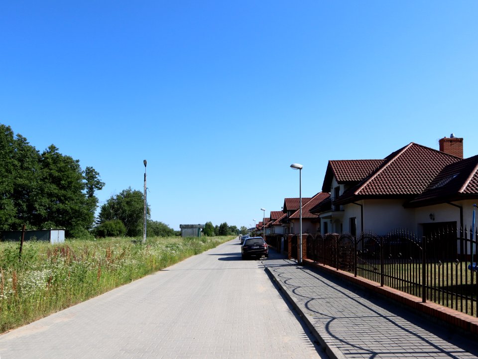 2019_Warszawa_Rajgrasowa