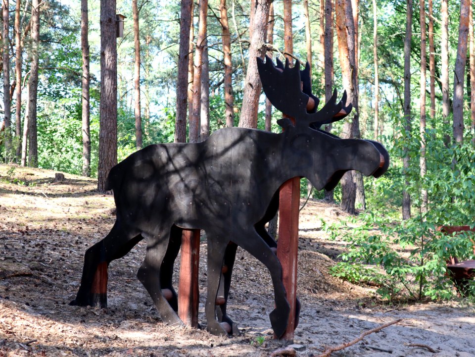 2019_Warszawa_Park_Olesin,_5