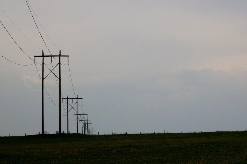 2019-05-30_Power_lines_and_grassland_along_Trans-Canada_Highway_west_in_Rocky_View_County_9754