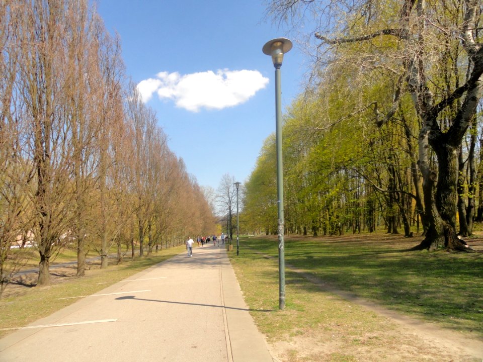 2019_Warszawa_Pole_Mokotowskie,_4