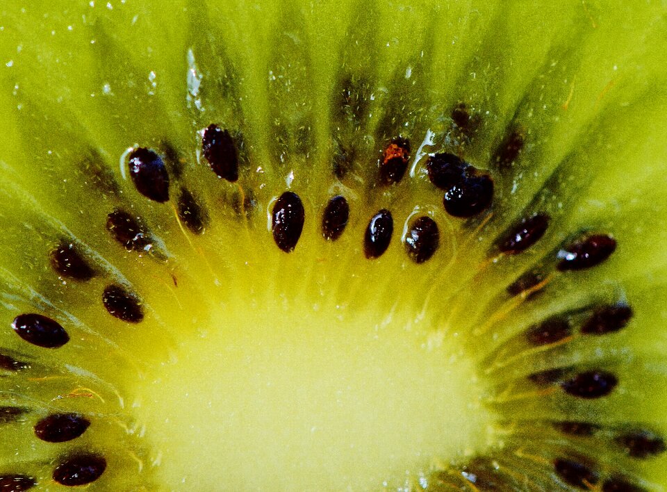 Vitamins food green