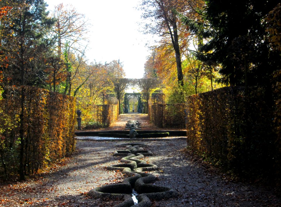 20181111Schlangenbad