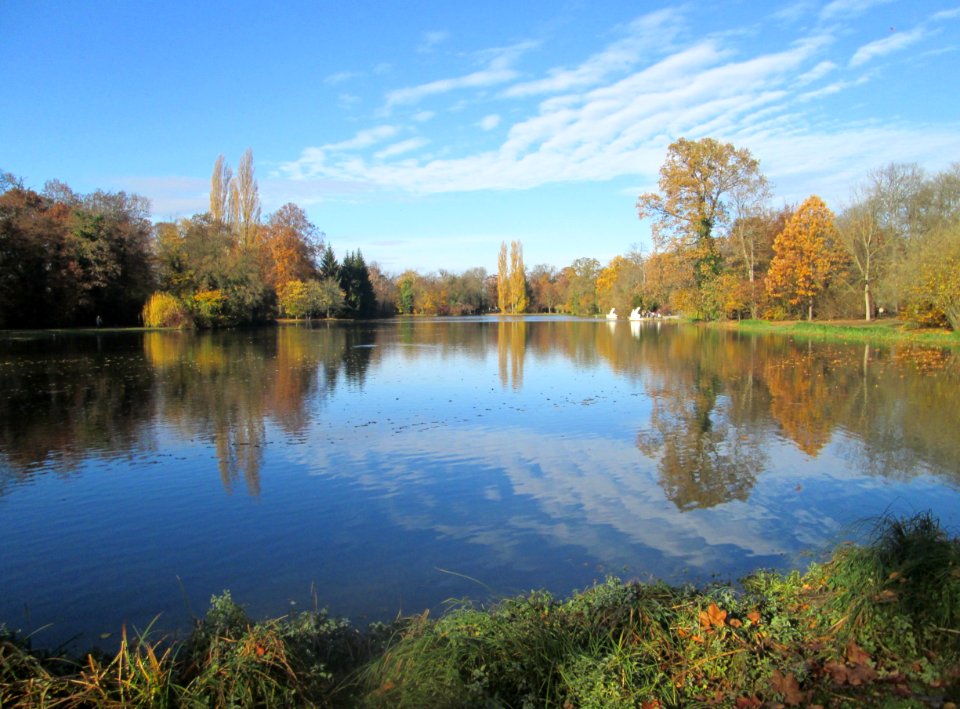20181111Großer_Weiher